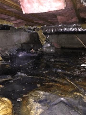 Newport crawl space with flooding issues needing waterproofing