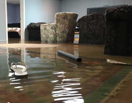 Basement flooding with standing water.