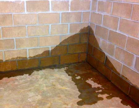 Leaking water from a basement wall.