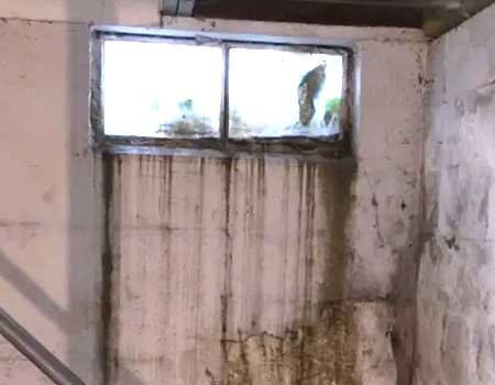 Image of leaky basement windows, underscoring the need for waterproofing solutions to safeguard against water damage and ensure a dry interior.