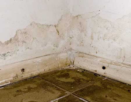 Photograph displaying a wall/floor joint leak, emphasizing the significance of waterproofing for structural integrity and preventing water damage.