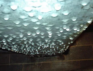 Condensation caused by crawl space humidity in Usk, WA showing moisture accumulation