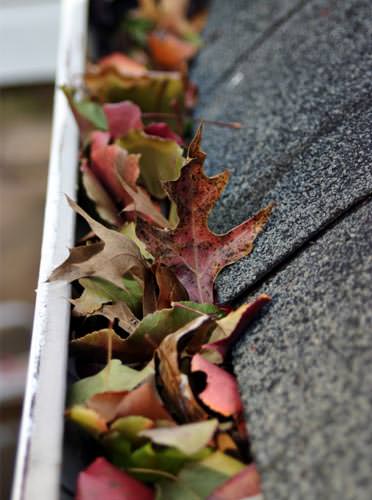 Gutter maintenance service being performed on a home in Deer Park, WA