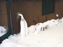 Ice guard working effectively on a home's downspout to prevent ice damming in the Spokane area