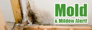 Mold and mildew alert for a basement area