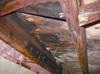 Rot from crawl space humidity in Veradale, WA showing damage and deterioration